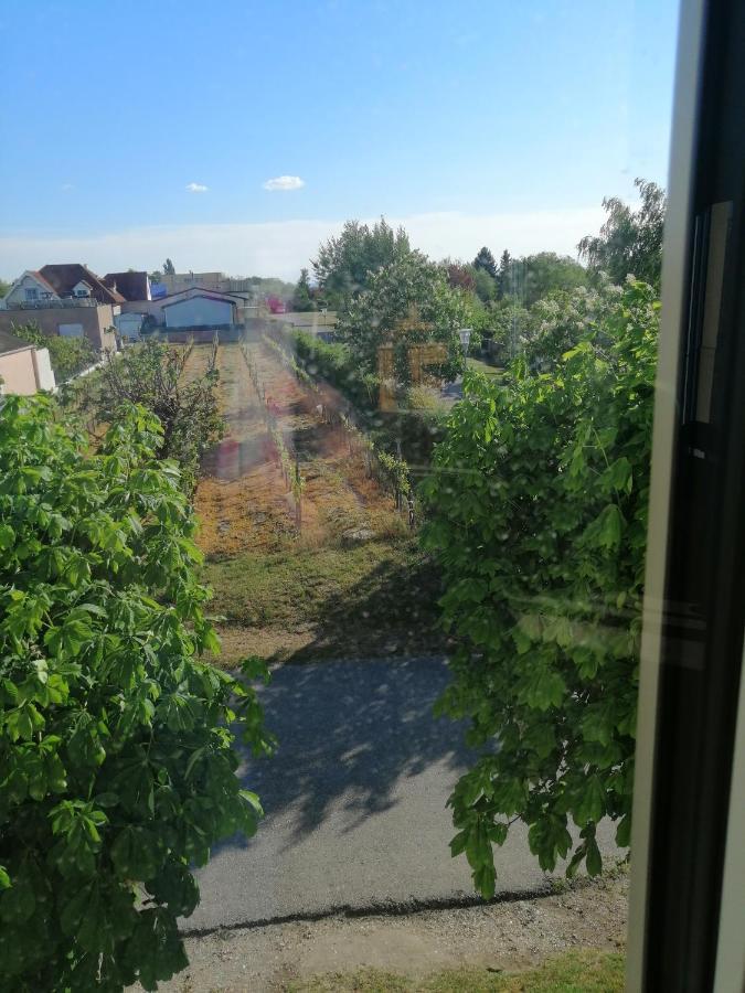 Campingblick-Gaestehaus-Ferienwohnungen Подерсдорф ам Зее Екстериор снимка